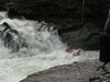 DSC_0664d-1.jpg