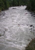 qq203-1.jpg